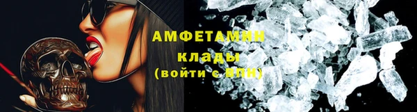 прущие грибы Абинск