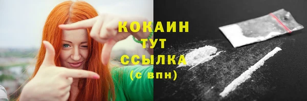 прущие грибы Абинск