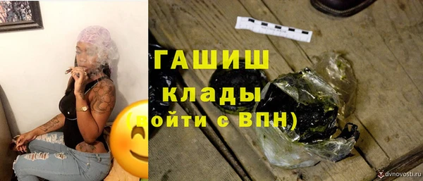 прущие грибы Абинск
