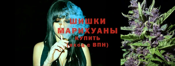 прущие грибы Абинск
