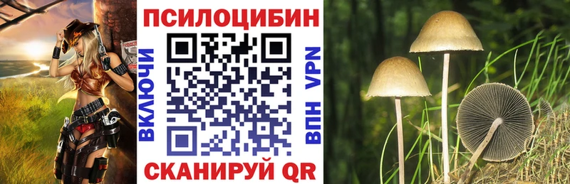 где купить наркоту  kraken как войти  Псилоцибиновые грибы прущие грибы  Челябинск 