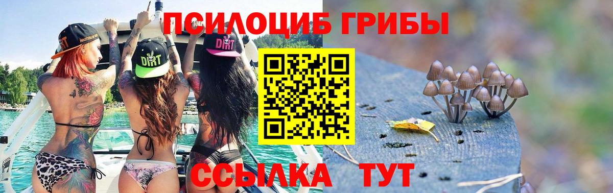 Псилоцибиновые грибы Cubensis  Вход с VPN  Челябинск  Галлюциногенные грибы Psilocybe 